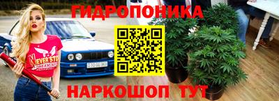 скорость Кимры
