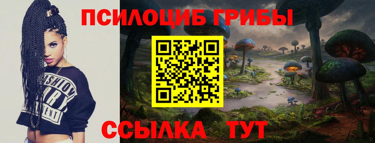 где продают   Вход с VPN  Кузнецк  Галлюциногенные грибы Psilocybine cubensis 
